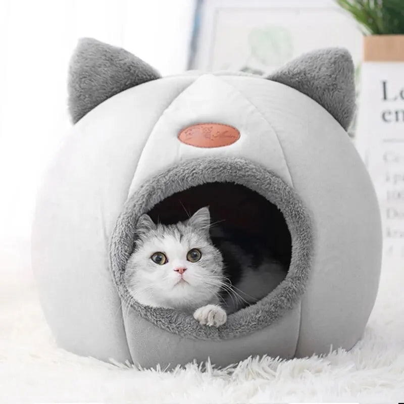 Cozy Cat Head Bed - All Seasons Woofy