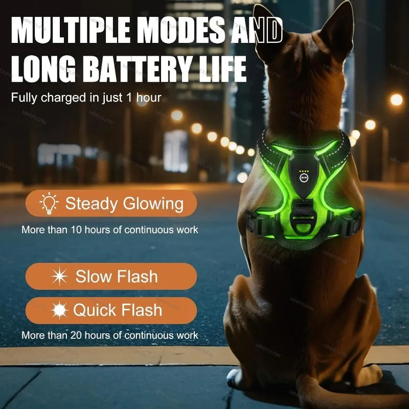 Dog harness with LED lights and padding