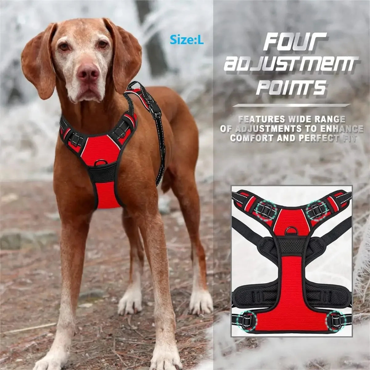 Durable Dog Harness & Leash Set Woofy