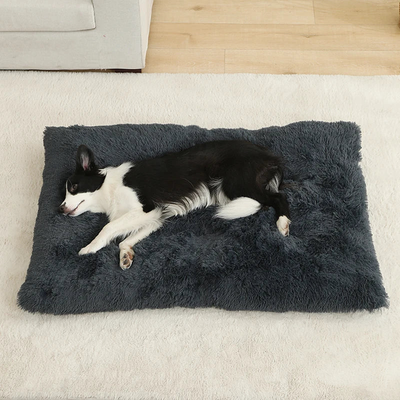 Ultimate Comfort Plush Dog Bed Woofy
