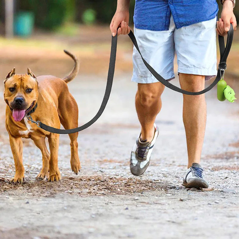 Training & Behavior
