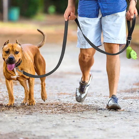 Night Safety Dog Leash with Reflective Collar for Dogs