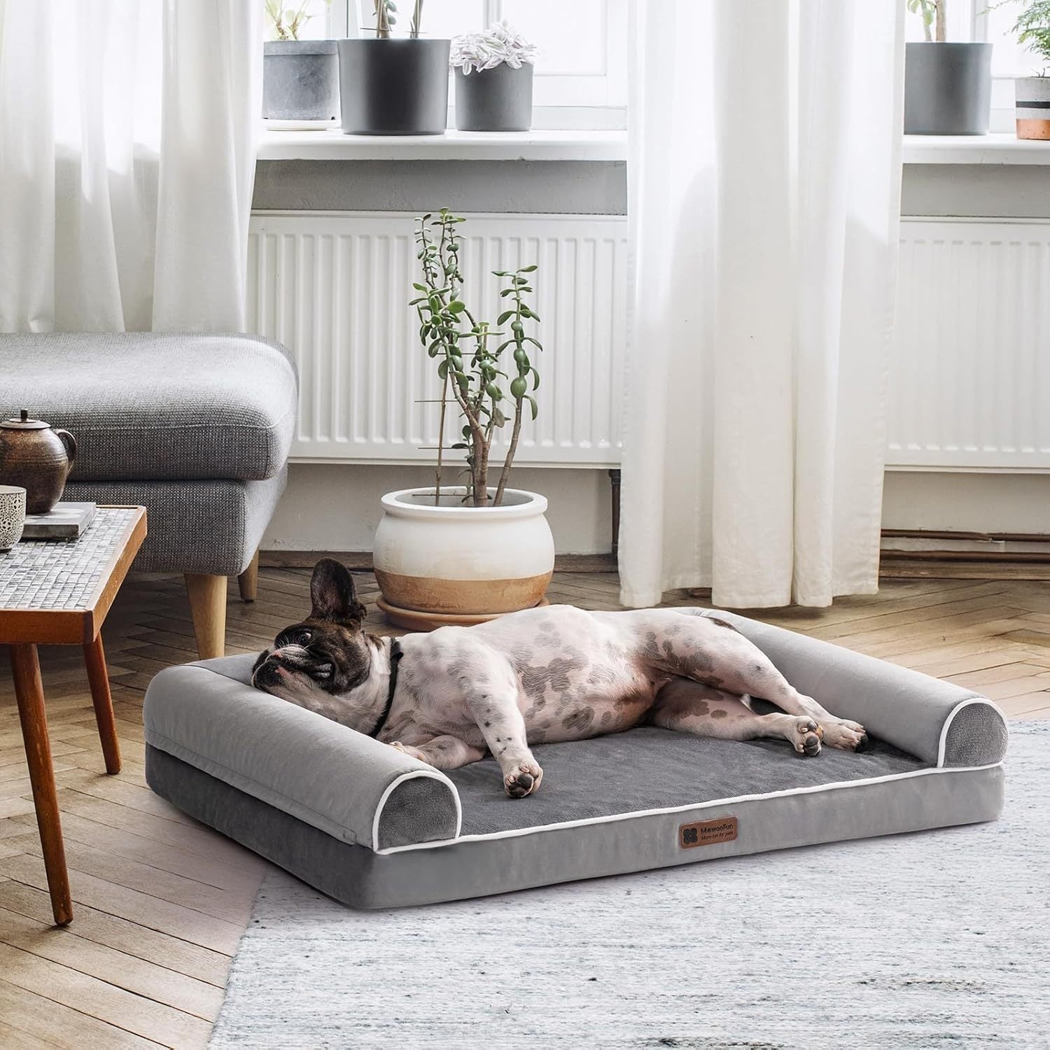 Orthopedic egg foam dog bed for large dogs