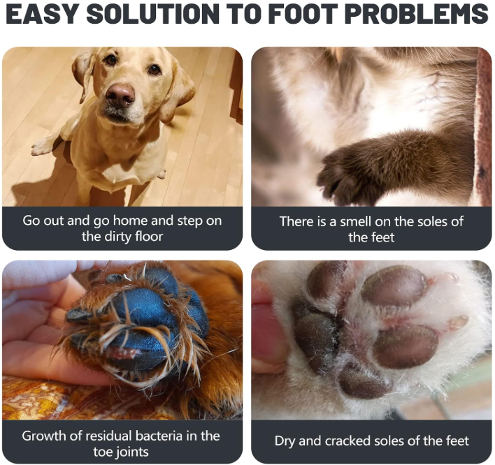 Waterless paw cleaner safe for cats