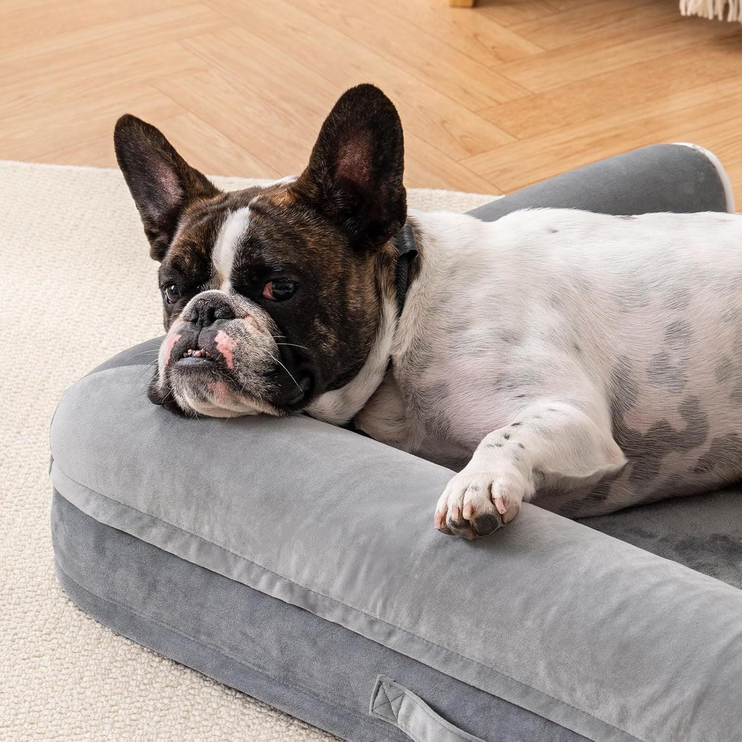 Orthopedic egg foam dog bed for large dogs