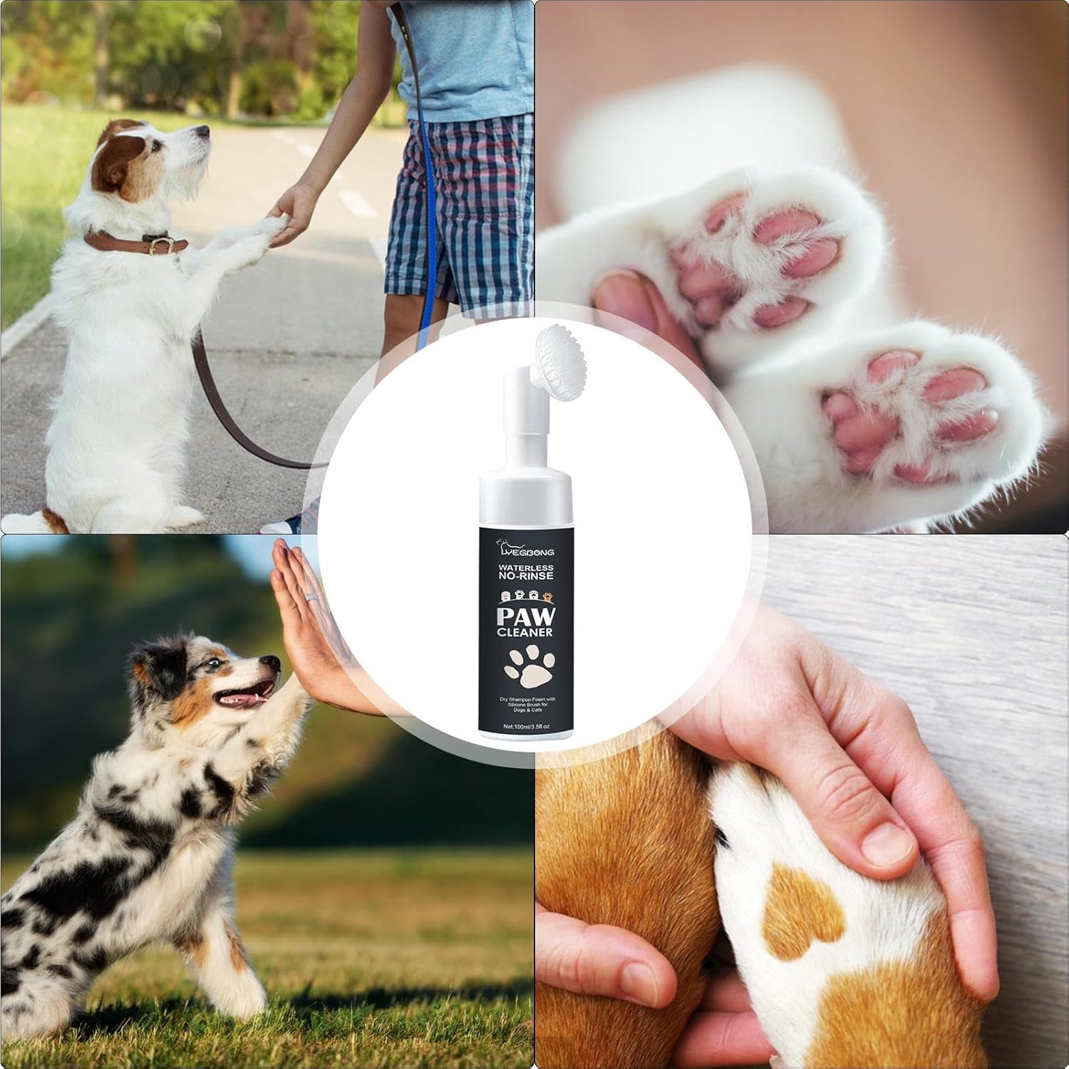 Clean dog paws after walk with waterless paw cleaner