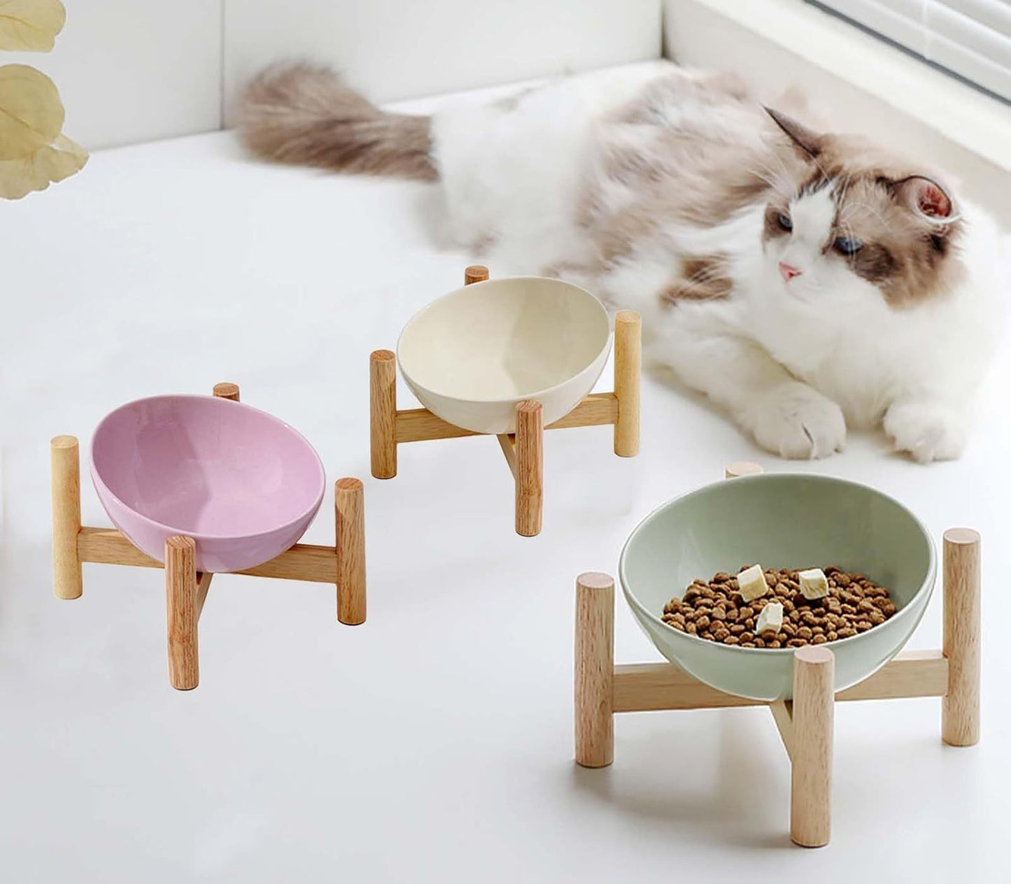 Elevated Cat Bowl with Stand Woofy