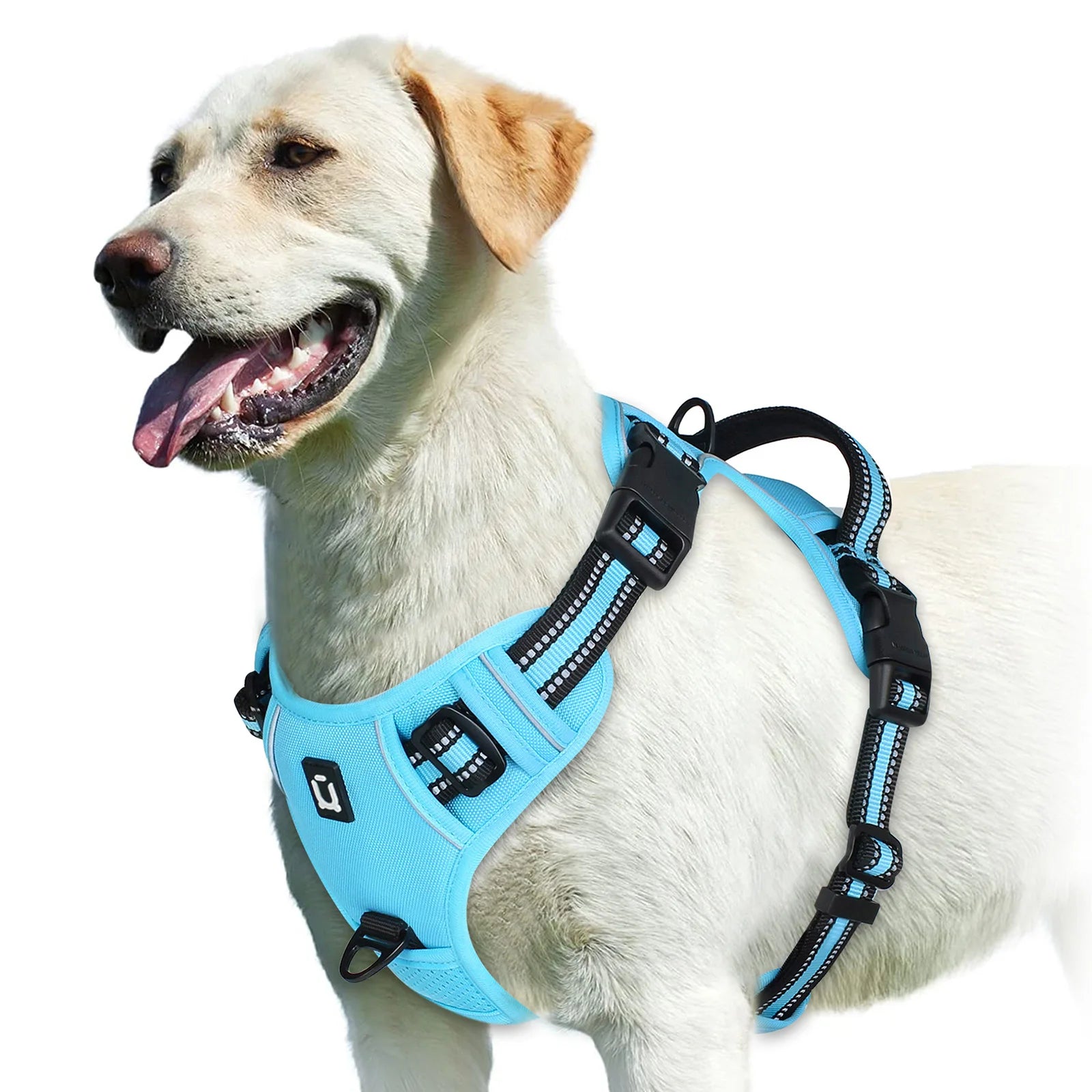 Reflective No-Pull Dog Harness – Mint Green
