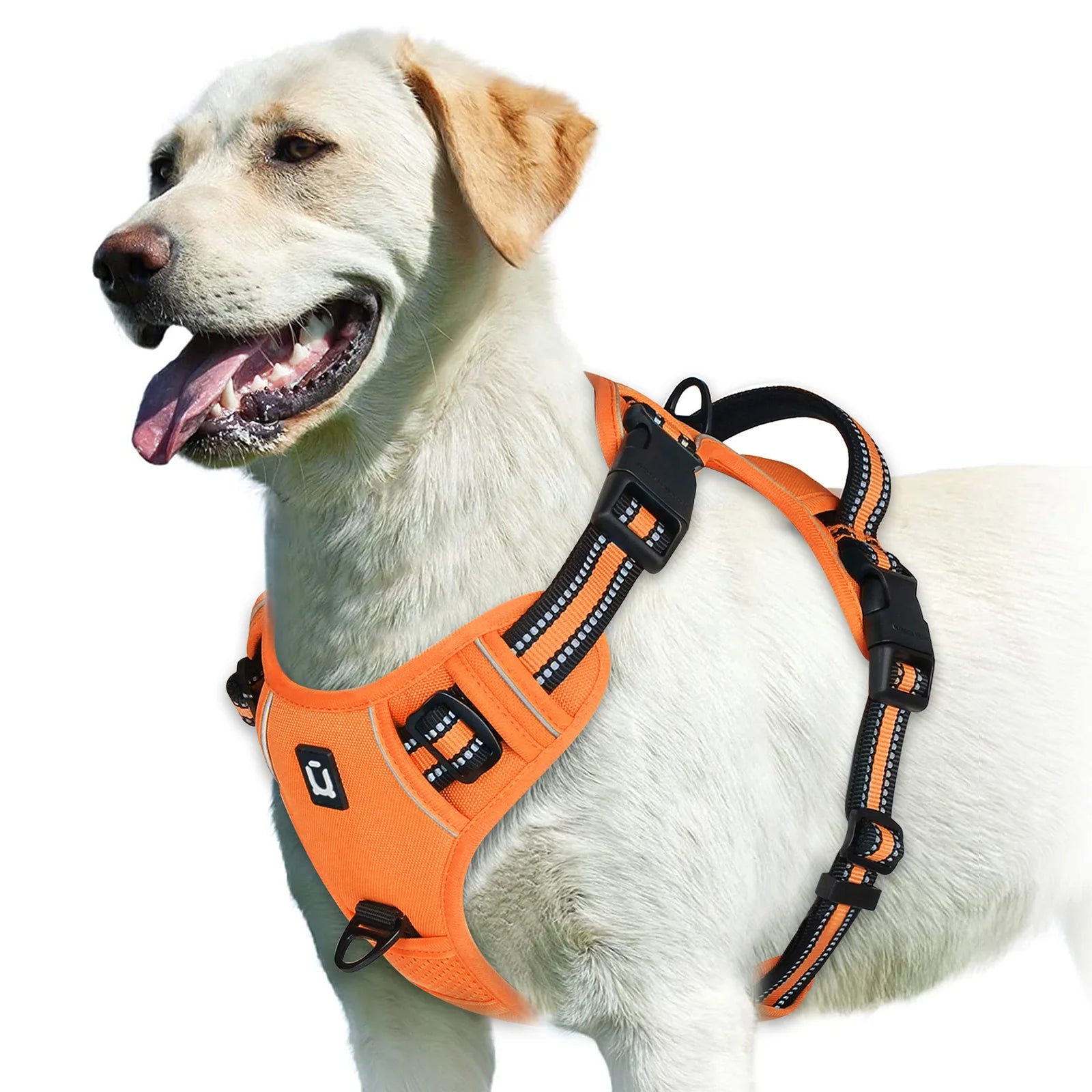 Reflective No-Pull Dog Harness – Orange