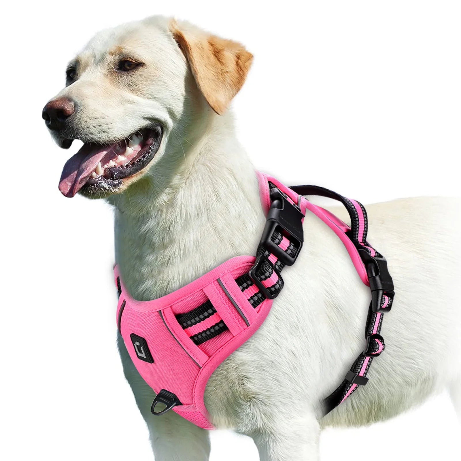 Reflective No-Pull Dog Harness – Pink