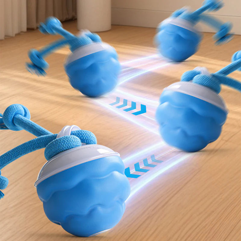 Pawzioo™Smart Bouncing Dog Toy – No More Chewed Furniture🐶