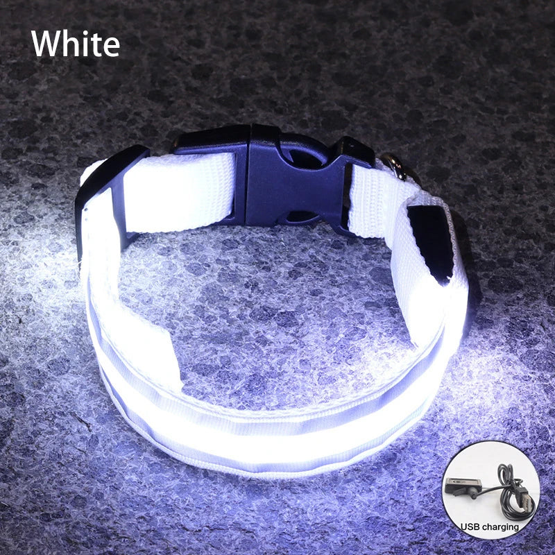White USB Rechargeable LED Dog Collar Reflective Night Safety