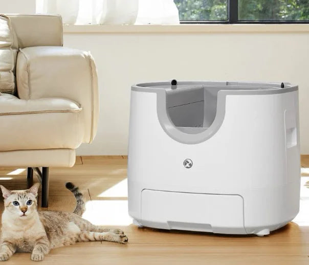 Cat beside automatic self-cleaning litter box
